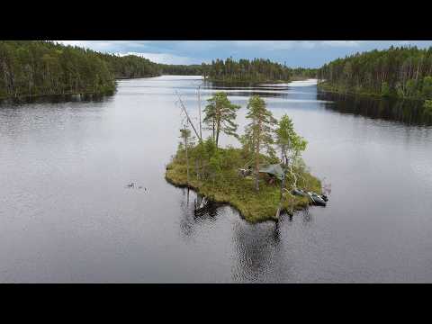 Видео: ВНУТРИ ЩУКИ БЫЛО ЭТО РЫБАК В ШОКЕ! ГОТОВЛЮ УХУ НА НЕОБИТАЕМОМ ОСТРОВЕ. РЫБАЛКА НА ЛЕСНОМ ОЗЕРЕ.