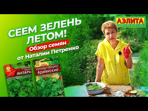 Видео: ЗЕЛЕНЬ. Сеем весь сезон! Повторный посев кинзы.
