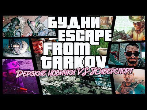 Видео: Берем интервью у дикого, будни в Escape from Tarkov