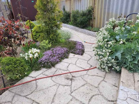 Видео: Гармония воды, камня и зелени #как построить пруд # пруд на даче #декор сада