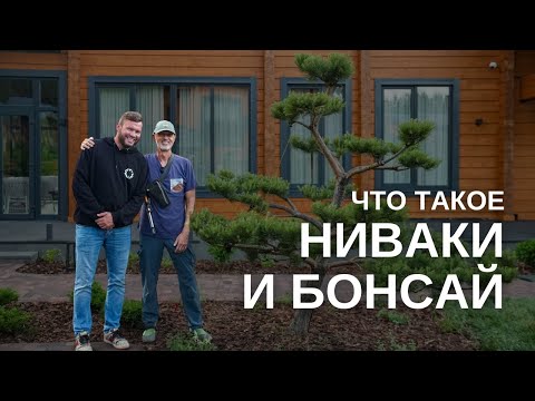 Видео: Искусство НИВАКИ И БОНСАЙ. Интервью с Андреем Дарусенковым
