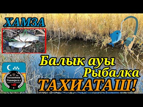 Видео: БАЛЫК АУЫ - РЫБАЛКА#тахиаташ#каракалпакистан#