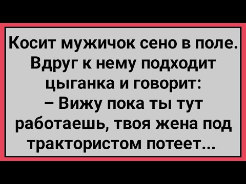 Видео: Как к Мужичку в Поле Цыганка Подошла! Сборник Свежих Смешных Анекдотов!