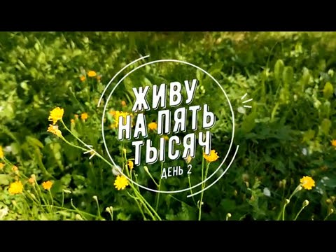 Видео: ПРОЖИТЬ НА 5 000 С ДВУМЯ ДЕТЬМИ ДЕНЬ 2