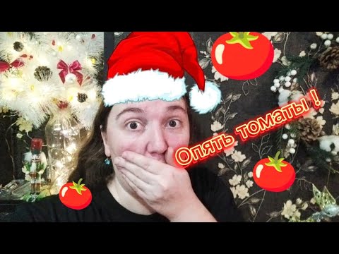 Видео: Семена томатов 2025! А мне всё мало!😱 Спор проиграла! 🤣🤣🤣