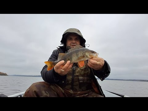 Видео: Ловим Окуней На Вселуге