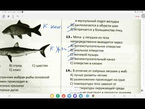Видео: ДИМ/Испытательный экзамен 2/ Биология/ 4 группа/