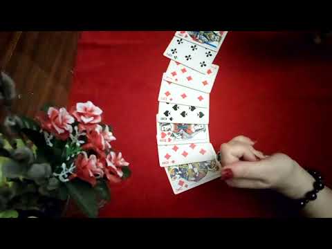 Видео: На 11 ноября. Дамы. Короли.