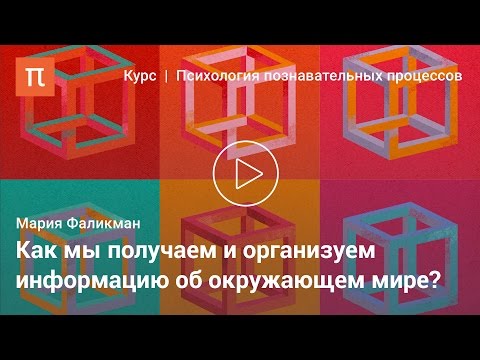 Видео: Познавательные процессы человека — Мария Фаликман