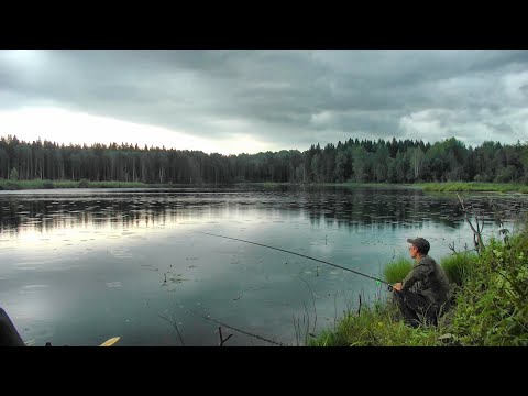 Видео: 3 дня на озере #377