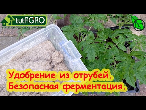 Видео: ВМЕСТО УДОБРЕНИЙ КЛАДЕМ В ЛУНКИ ФЕРМЕНТИРОВАННЫЕ ОТРУБИ. Безопасная ферментация отрубей для урожая.