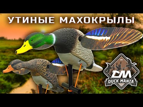 Видео: Утиные махокрылы Duck Mania | Утиные чучела Duck Mania