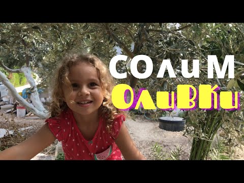 Видео: Оливковый Влог | Ателье Амны