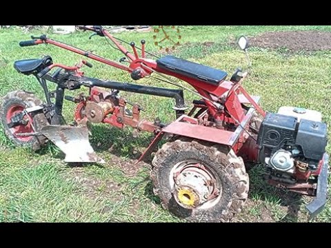 Видео: Запахиваю не выросший овёс.