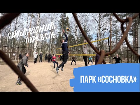 Видео: Парк «Сосновка» Санкт-Петербург
