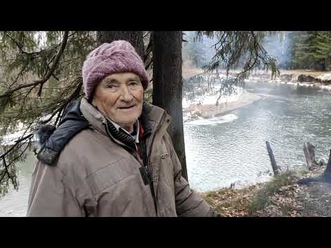 Видео: На кордоне у Михалыча.Чага.Дрова.