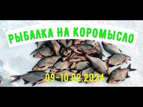 Видео: Зимняя рыбалка на леща. Ловля на коромысло. Белоярское водохранилище 9-10 февраля 2024г.