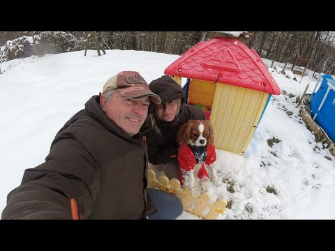 Видео: ЖИВОТ НА СЕЛО : Зимни ремонти на стара къща  + Как да си направим вкусни виненки -масленки/  LINE D5