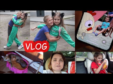 Видео: VLOG Айфон разбился. Я не знаю на что снимать влоги. Алиса уже сама покупает еду