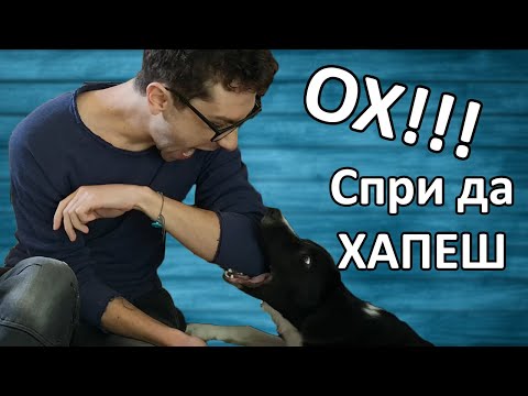 Видео: Кучето ме ХАПЕ