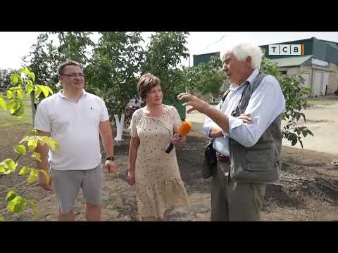 Видео: Ореховое Будущее Приднестровья. Как Вырастить Самый Ценный Орех. 6 Соток. 05 09 2022