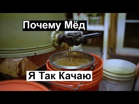 Видео: Пасека #122 Почему Мёд я так качаю, Рассказываю, Показываю, Мёд Майский/ Пчеловодство для начинающих