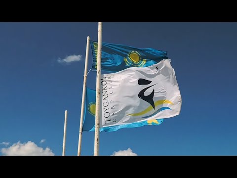 Видео: Чемпионат Казахстана по ловле карпа 2024. Озеро Тайганколь!