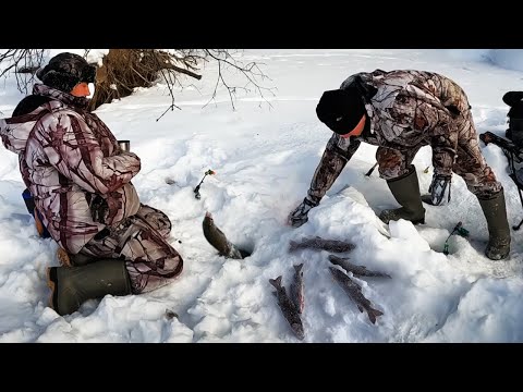Видео: ГОРНАЯ РЫБАЛКА - Бешеный утренний клев больших ленков. Зимняя рыбалка на дальнем Востоке.