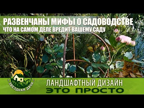 Видео: Сад без мифов: как сделать красиво и без каторги? Ландшафтный дизайн - это просто! Звездная Дача!