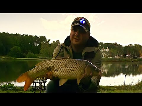 Видео: Carp fishing , карп на флэт, секреты и советы.