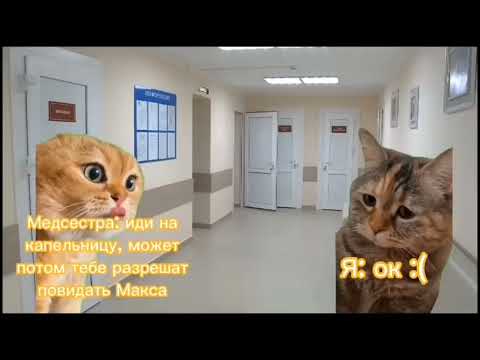 Видео: Как я заболела 🐈 Полный сборник всех серий (1-15)