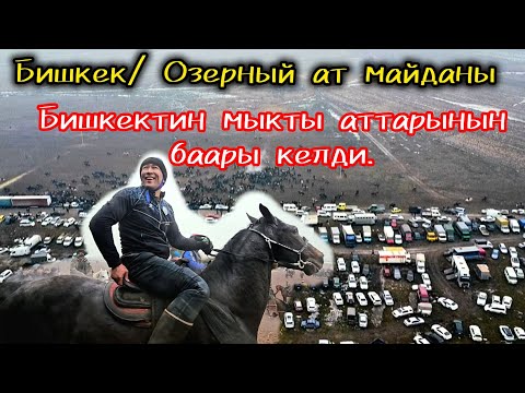 Видео: Балбандарды чарчаткан улак. Исрадиндин бата улагы.