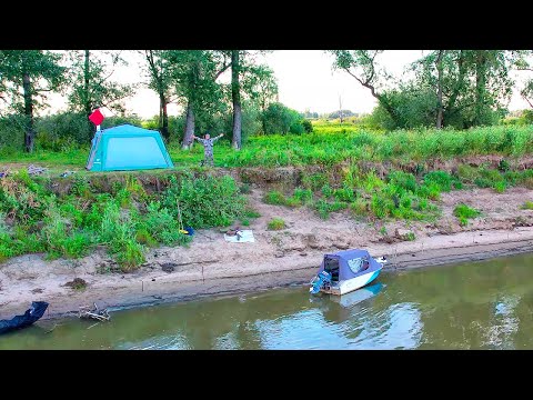 Видео: Урррра! РЫБАЛКА на ЛИСЬЕМ ОСТРОВЕ с Ромкой! Две ночи на Оби, жарим САЗАНА, ловим на закидушки!