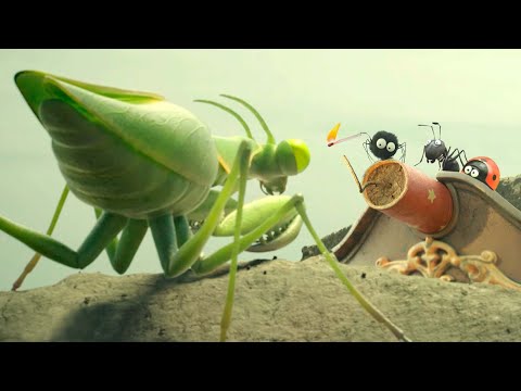 Видео: Паучек использует спичку и петарду как оружие в битве против богомола!