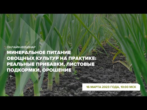 Видео: Онлайн-вебинар "Минеральное питание овощных культур: прибавки, листовые подкормки, орошение"