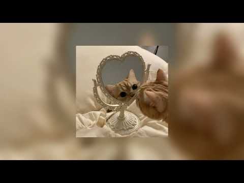 Видео: rasa - кошка (speed up)