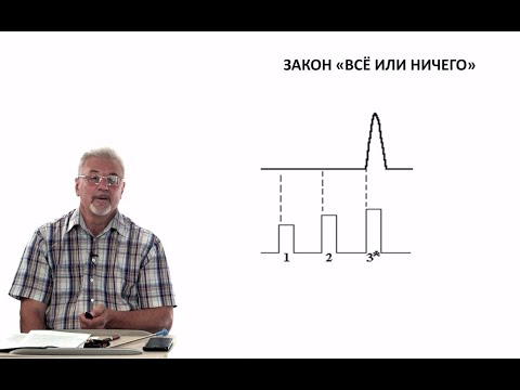 Видео: Евсеев А.В. Нормальная физиология. Лекция №2. Возбуждение клетки. 2023