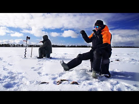 Видео: С БАТЕЙ НА БОЛОТЕ В АПРЕЛЕ. ВЕДРО ОКУНЕЙ. НОЧУЕМ НА ОЗЕРЕ. ПОДВОДНЫЕ СЪЁМКИ