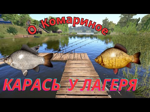 Видео: 🔥РУССКАЯ РЫБАЛКА 4🔥 О.КОМАРИНОЕ🔥 РАЗДАЧА КАРАСЯ🔥