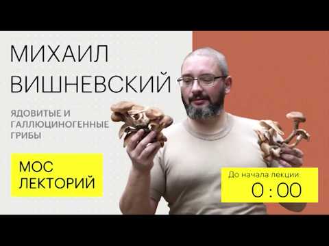 Видео: Ядовитые и галлюциногенные грибы. Часть лекции (Аптекарский огород, весна 2018, Михаил Вишневский).