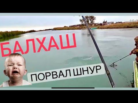 Видео: Рыбаловная база Успех. Ловим судака на джиг.