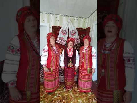 Видео: Росте калинонька, цвiте калинонька.