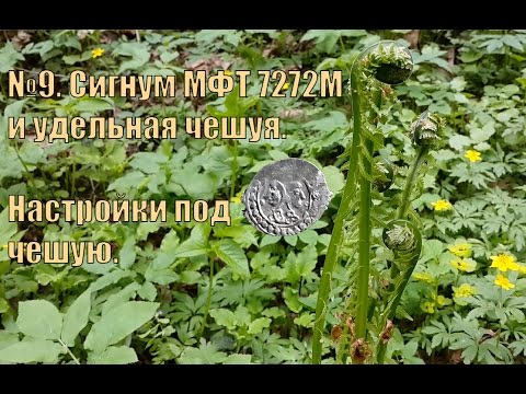 Видео: №9: Сигнум МФТ 7272М и удельная чешуя. Настройки под чешую.