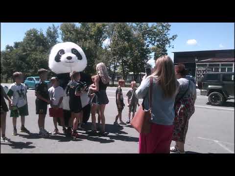 Видео: панда жгет