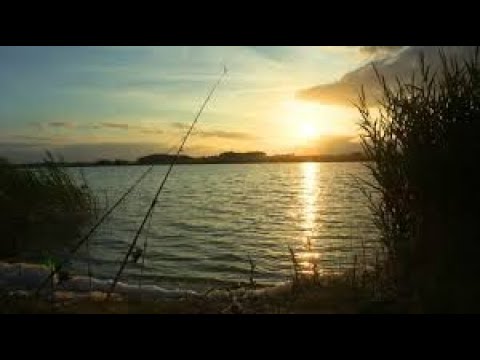 Видео: Рыбалка на Ивинском разливе 2021| Красота природы и дикие комары нас порадовали))