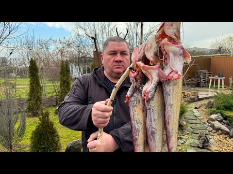 Видео: Готовлю 3 целых сомов на мангале!