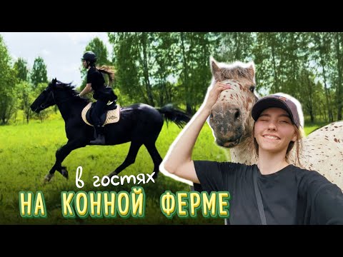 Видео: В ГОСТЯХ НА ЭКО ФЕРМЕ / Конная прогулка в полях