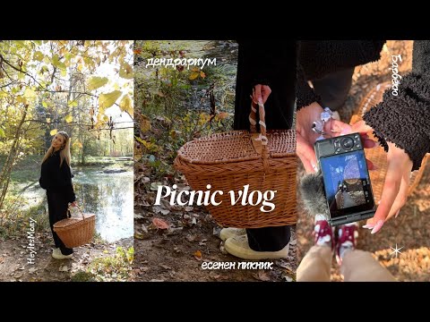 Видео: Есенен пикник/ хаотичен влог🧺💕