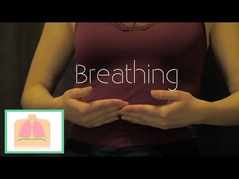 Видео: Дыхание флейты для любого флейтиста