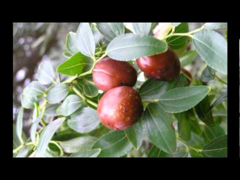 Видео: Вячеслав Хурсенко (3)